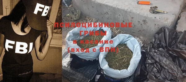 хмурый Абаза